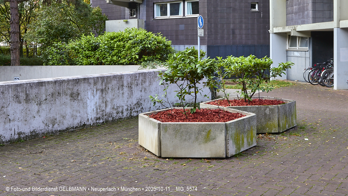 Pflanzen in meiner Burg