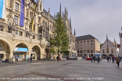 06.11.2025 - Weihnachstbaum auf dem Marienplatz