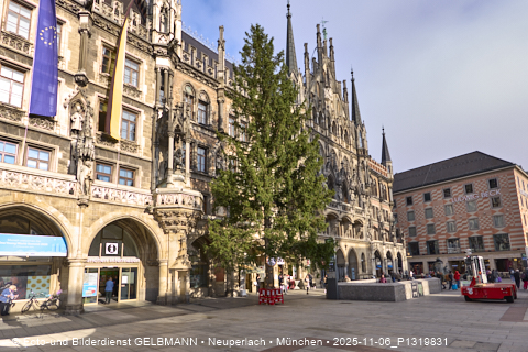 06.11.2025 - Weihnachstbaum auf dem Marienplatz