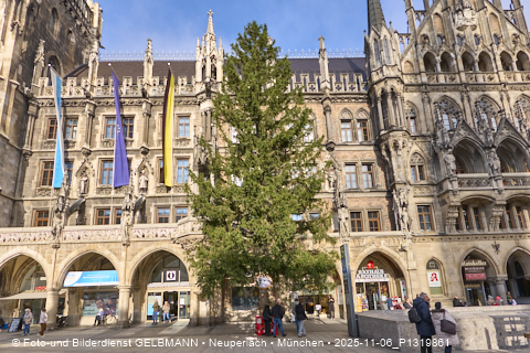 06.11.2025 - Weihnachstbaum auf dem Marienplatz