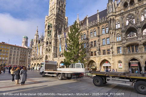 06.11.2025 - Weihnachstbaum auf dem Marienplatz