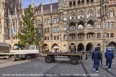 06.11.2025 - Weihnachstbaum auf dem Marienplatz