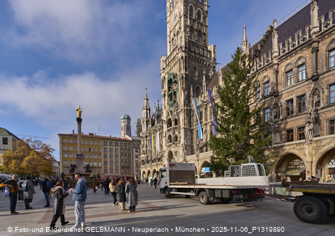 06.11.2025 - Weihnachstbaum auf dem Marienplatz