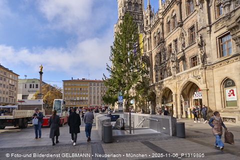 06.11.2025 - Weihnachstbaum auf dem Marienplatz