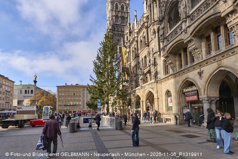 06.11.2025 - Weihnachstbaum auf dem Marienplatz